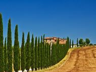 NOVA GODINA TOSCANA I FIRENCA 