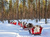 ROVANIEMI - SNJEŽNI DOM DJEDA MRAZA