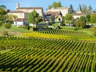 BORDEAUX - FRANCUSKA U ČAŠI